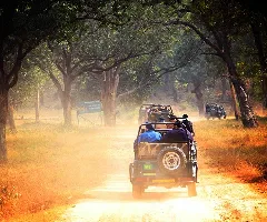 Best Time to Visit Goa: Season Guide 2026