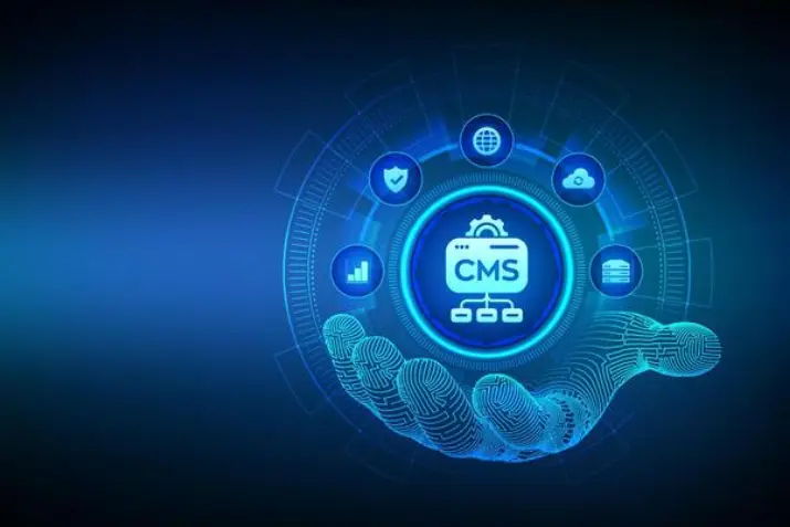 India Websoft CMS Development