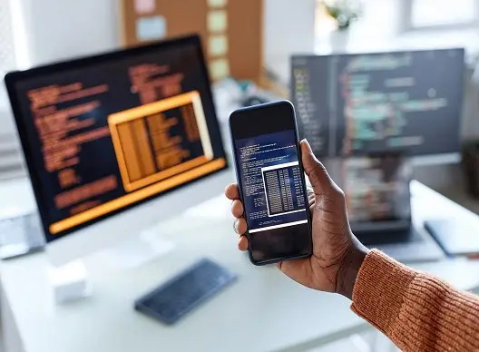 Professional Mobile App Development