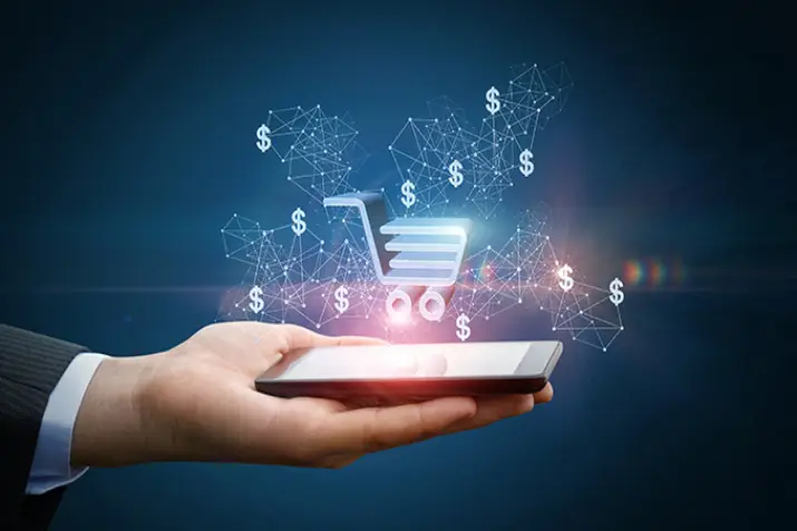 India Websoft Payment Gateway Integration